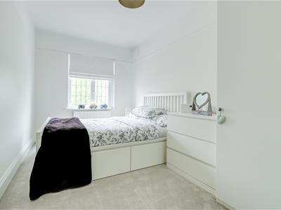 Picture 24